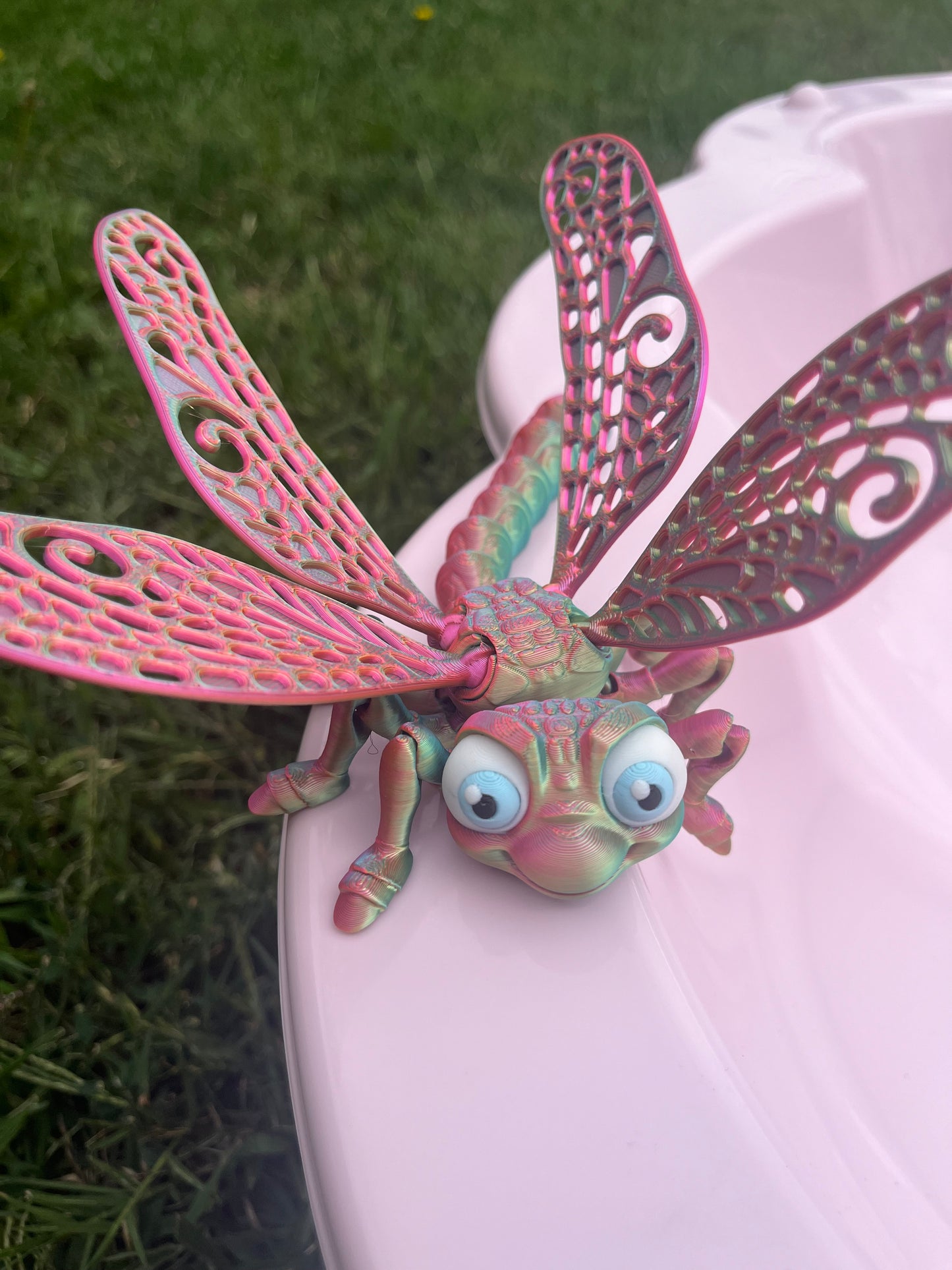 Articulate Dragonfly