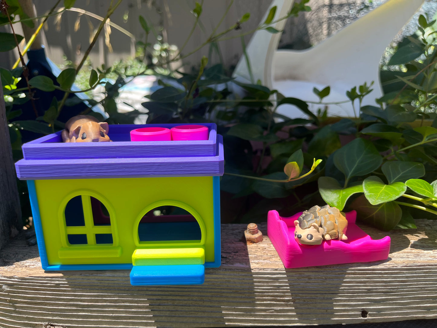 Jiggler pet Home