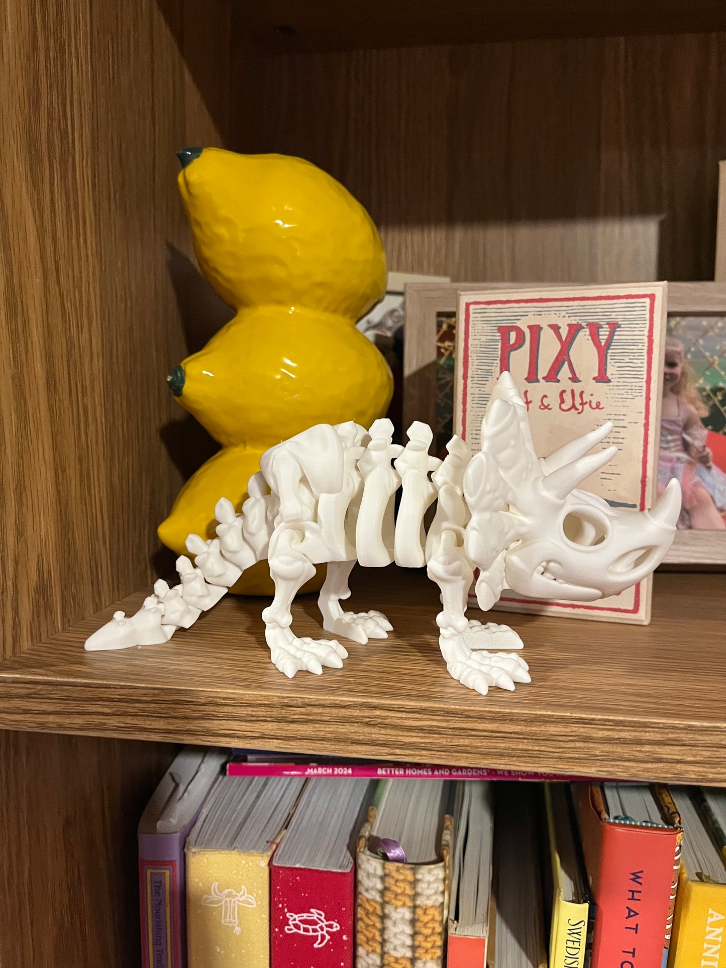 Triceratops