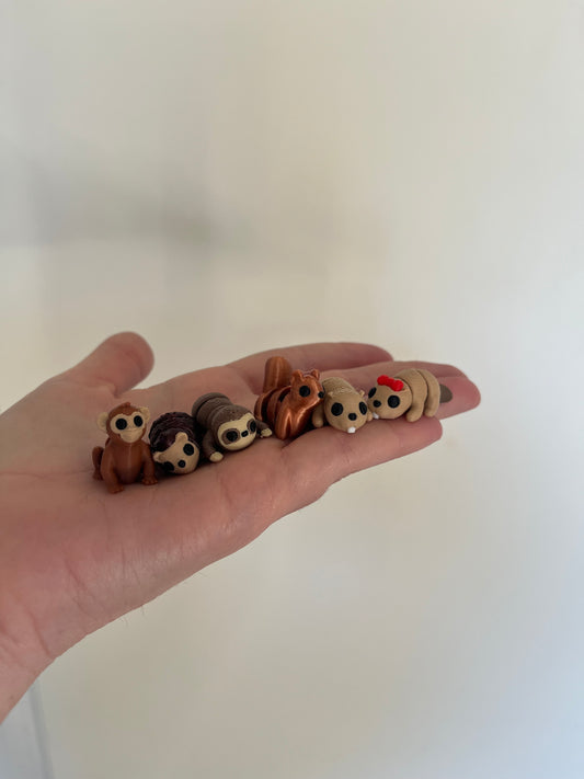 *Teachers Pets -term 4 2025