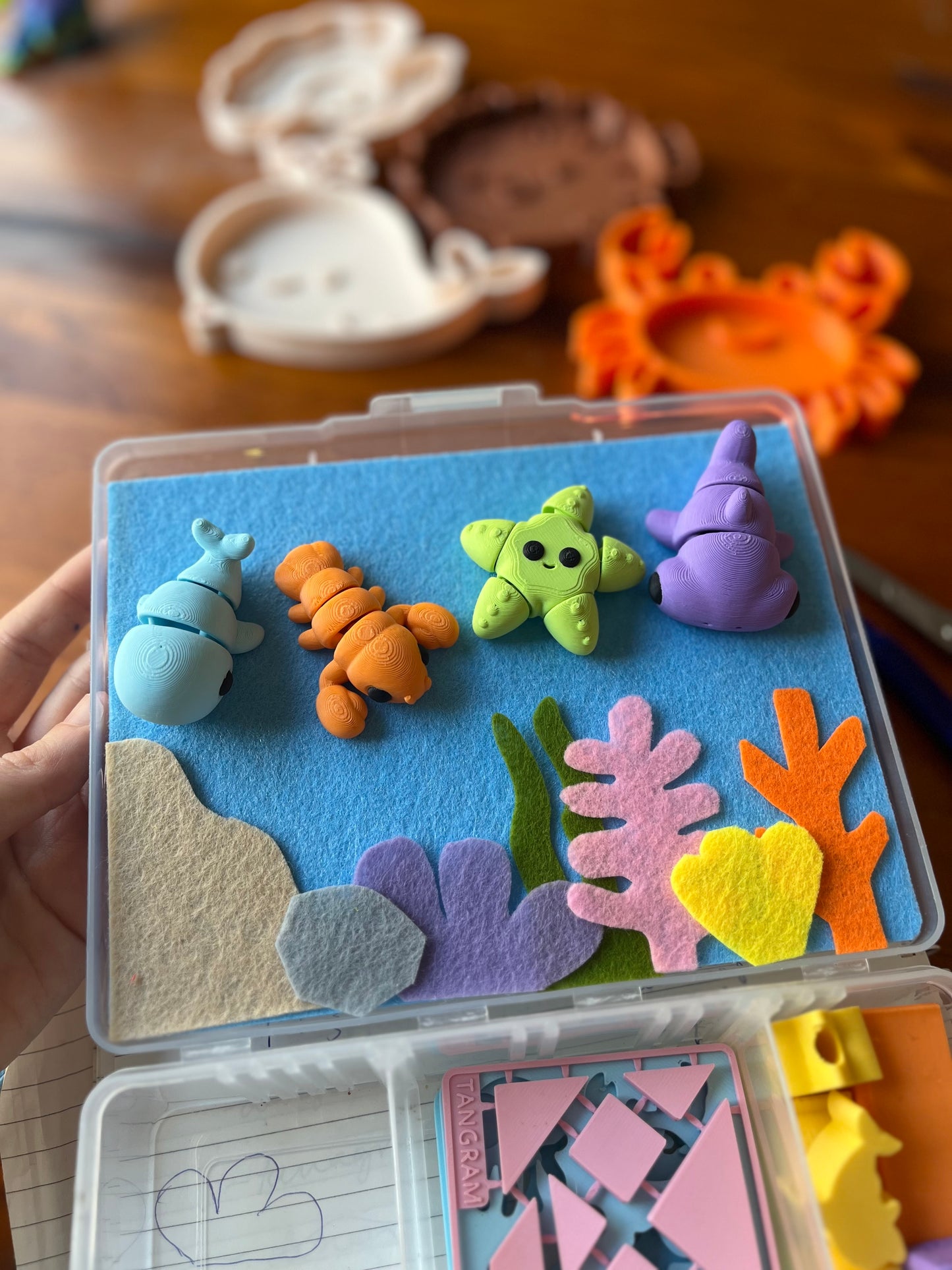 * Ocean Busy Box