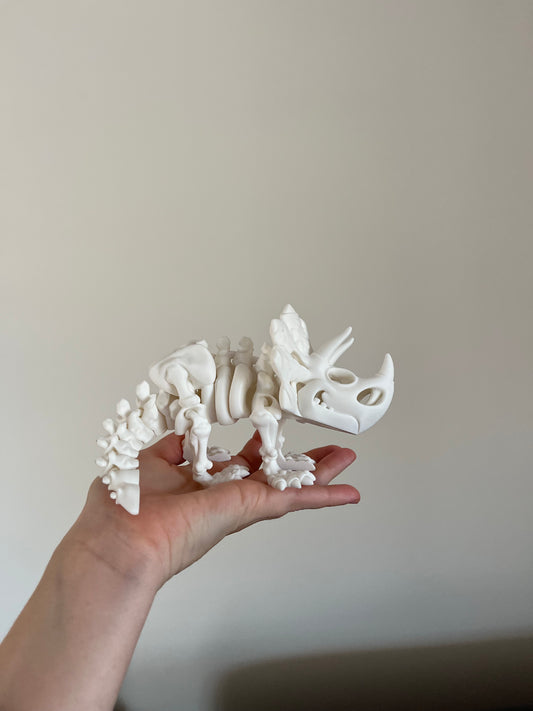 Triceratops