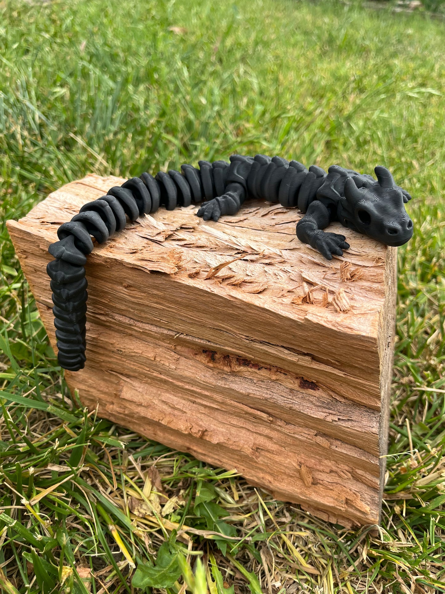 DRAGON SKELE
