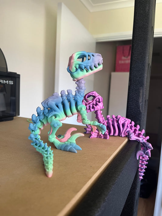 Raptor Articulate Skeleton