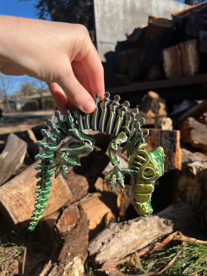 Crocodile skeleton