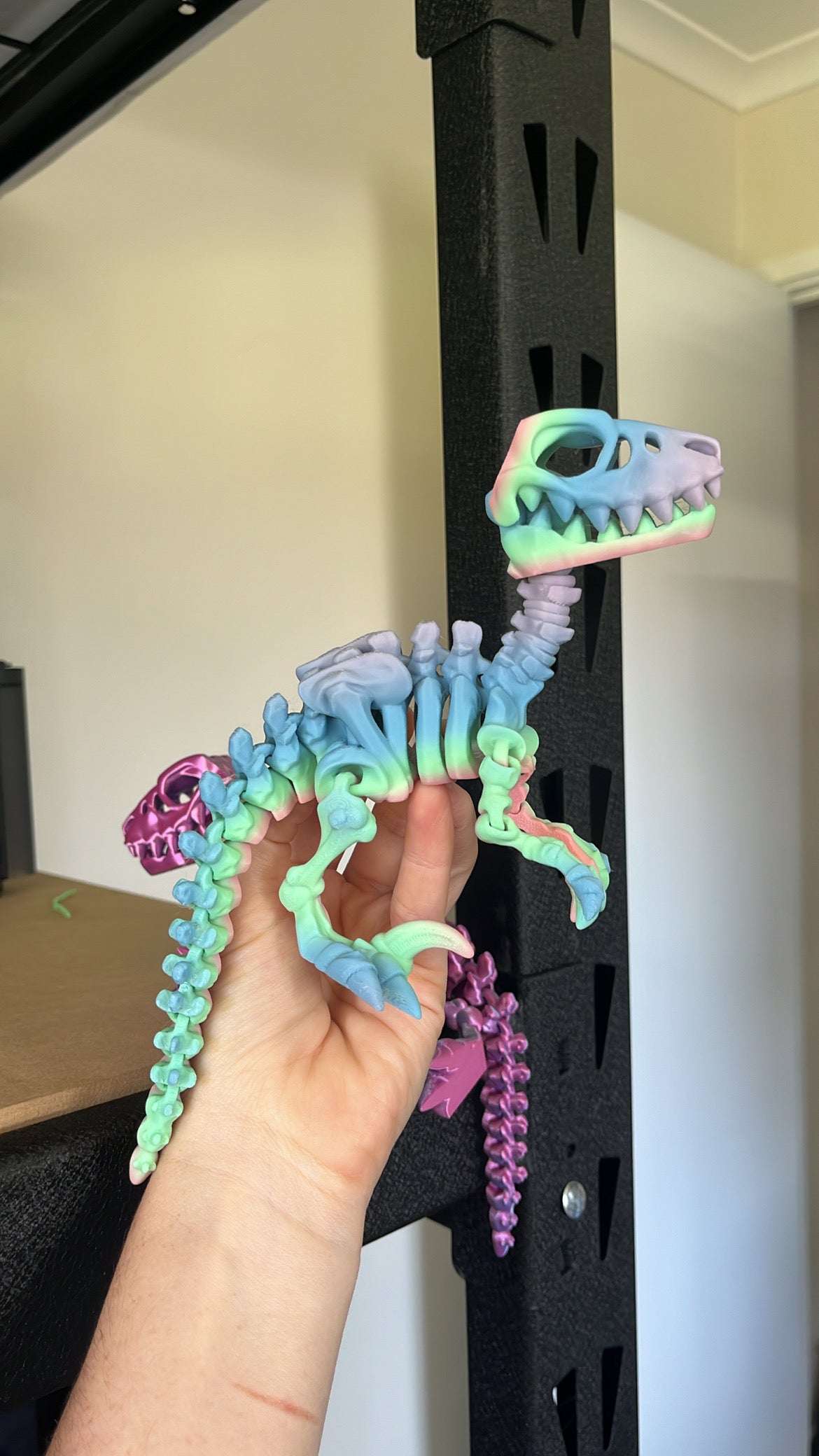 Raptor Articulate Skeleton