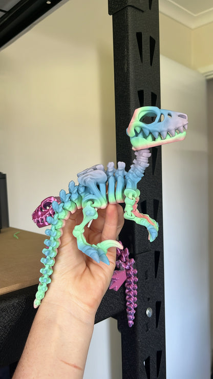 Raptor Articulate Skeleton