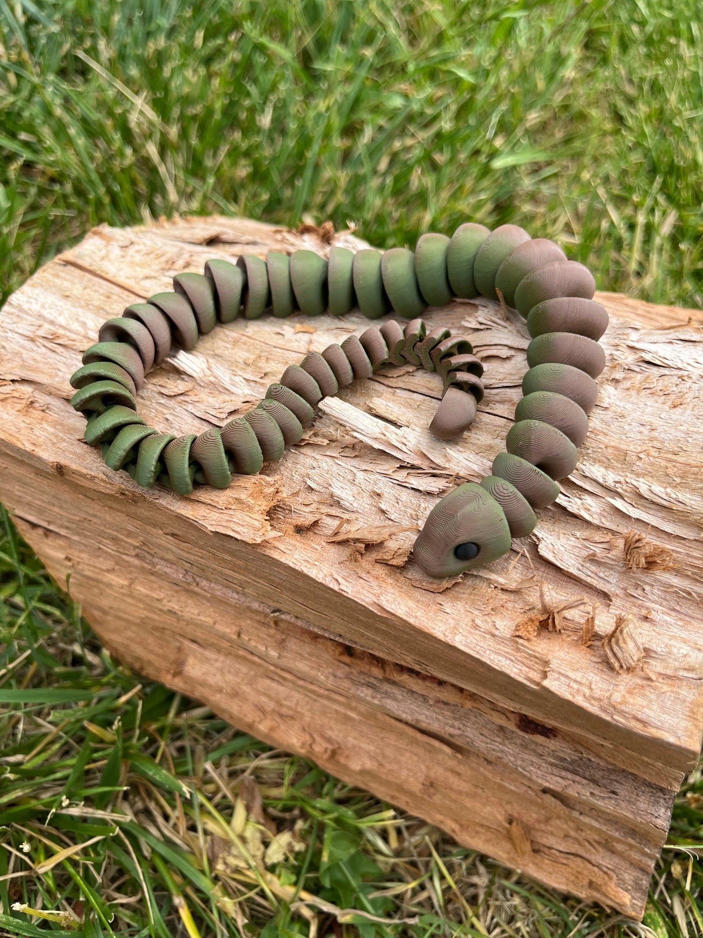 Snake
