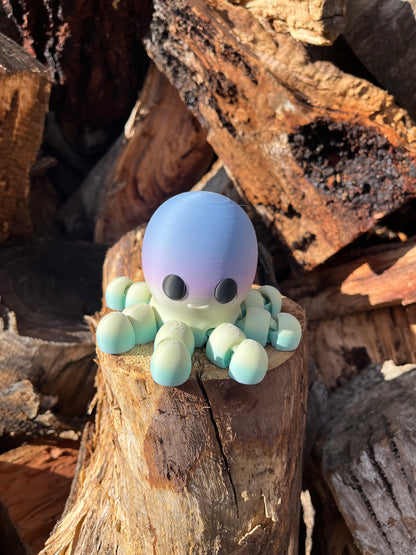 Octopus thumping size