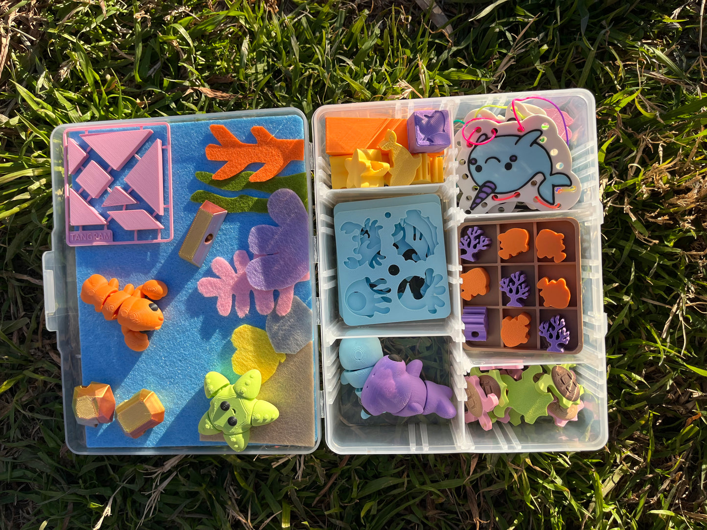 * Ocean Busy Box