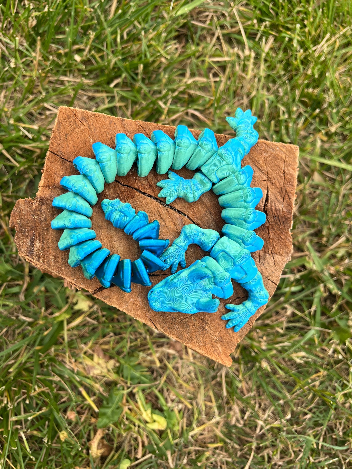 DRAGON SKELE