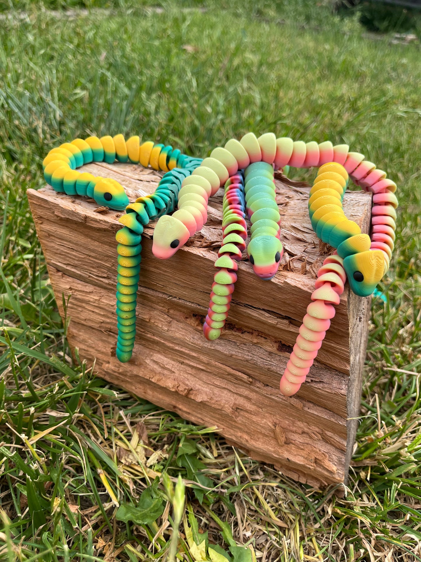 Snake
