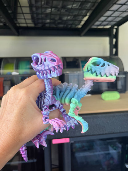 Raptor Articulate Skeleton