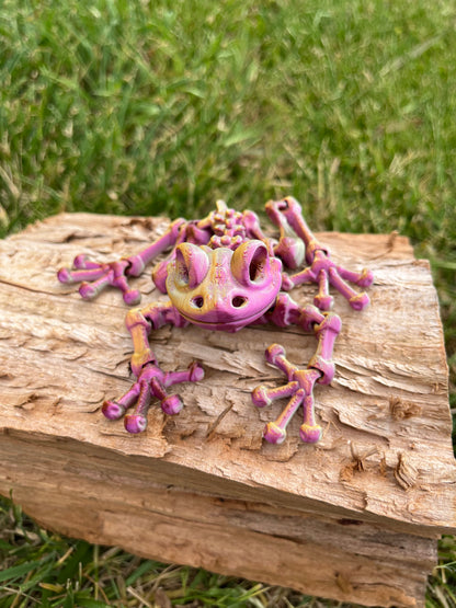 Frog skeleton