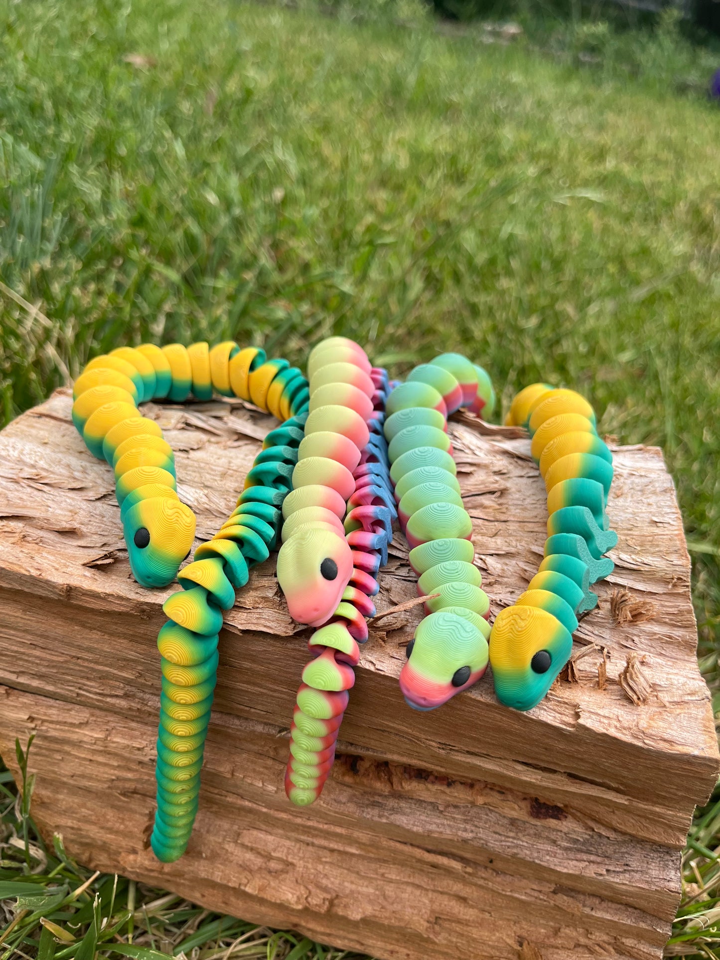 Snake