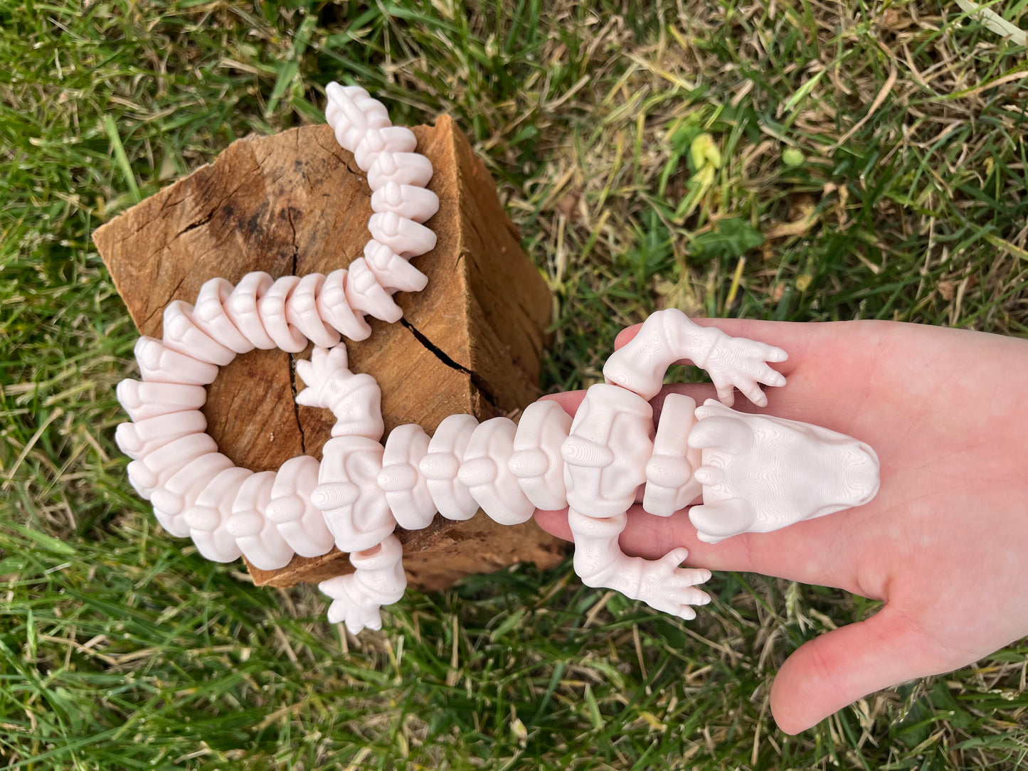large Dragon Skele