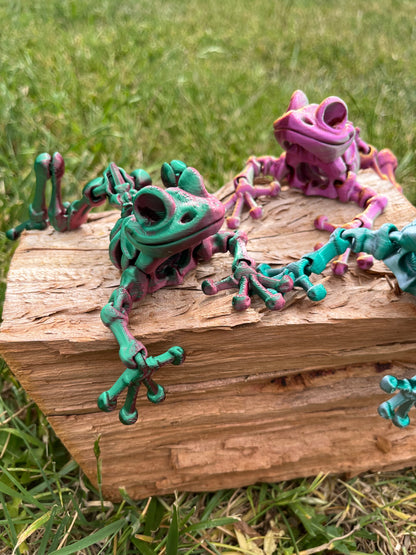 Frog skeleton
