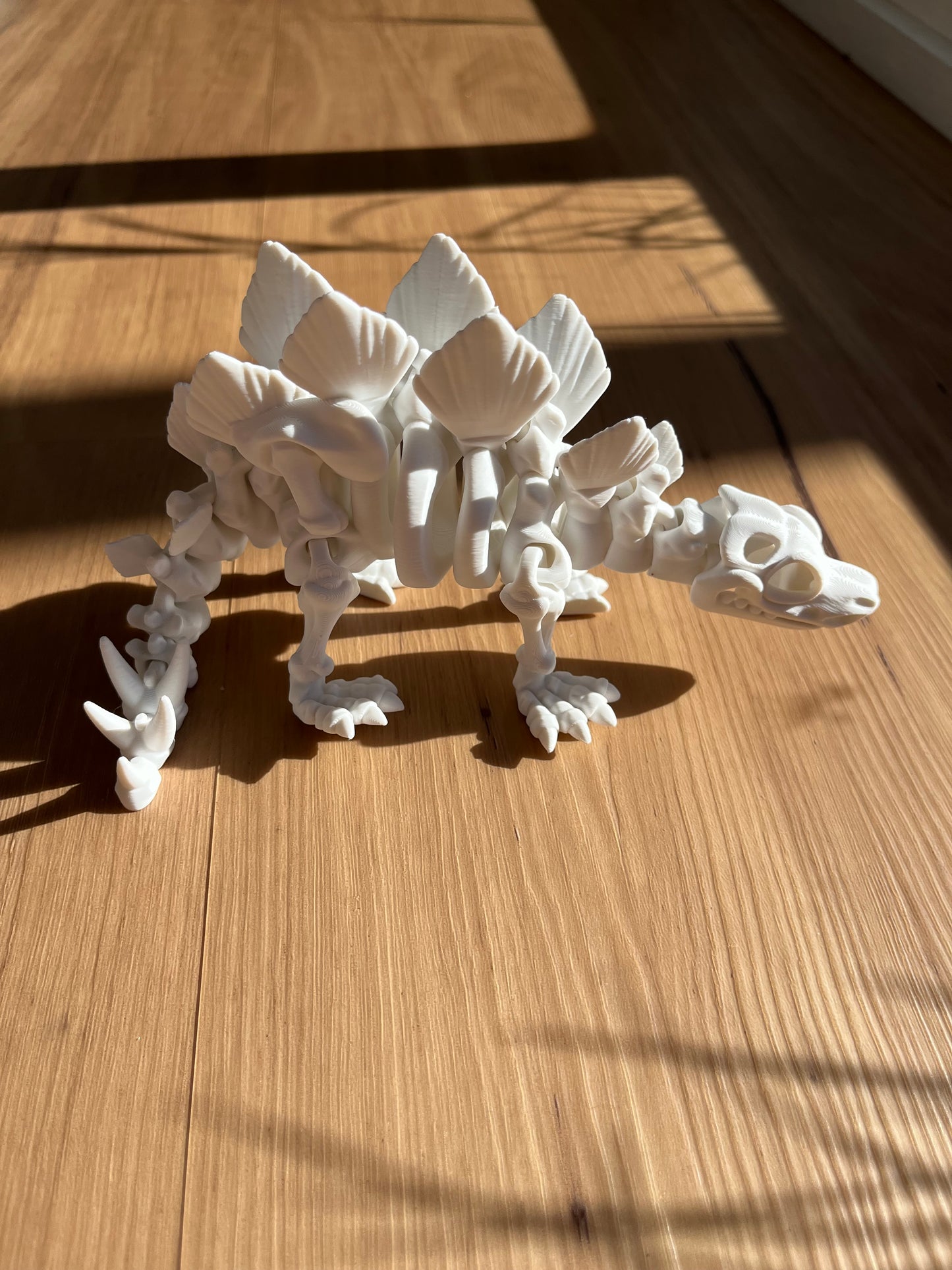 Stegosaurus