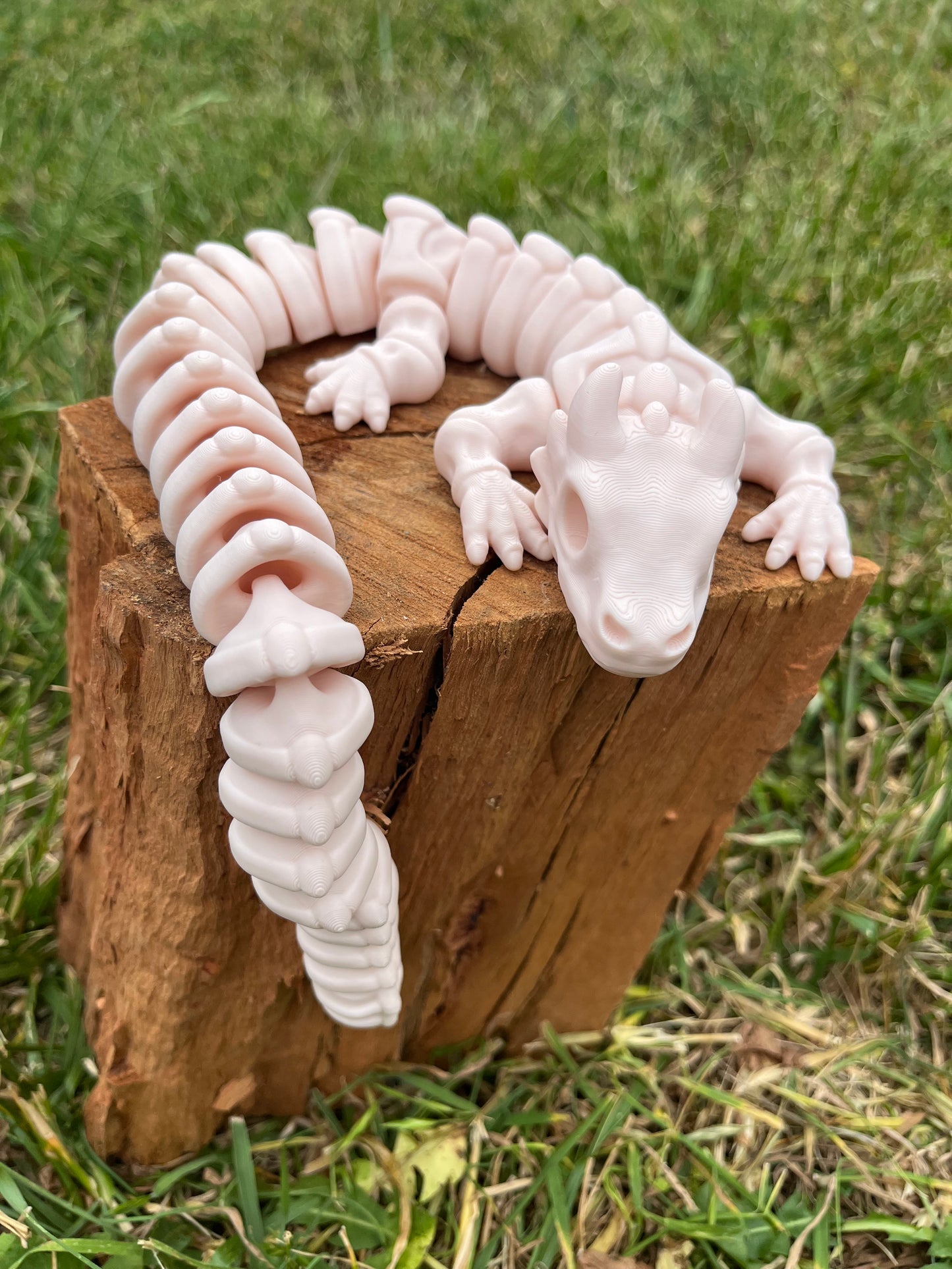 large Dragon Skele
